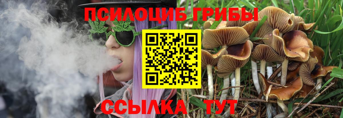 Галлюциногенные грибы Cubensis Карталы